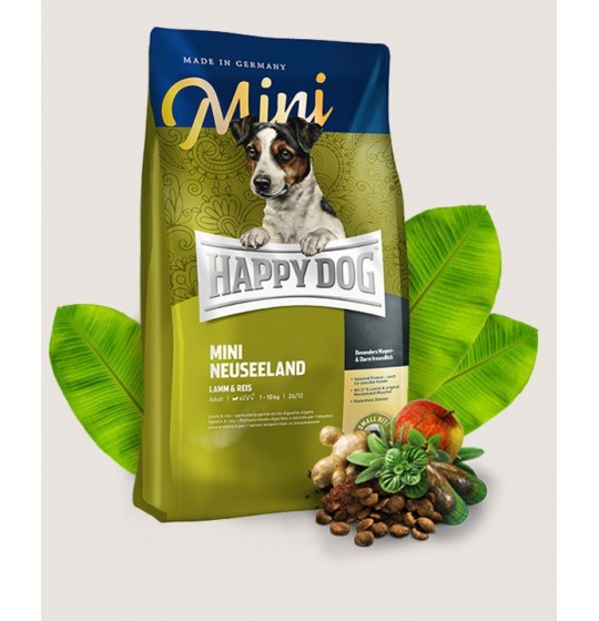 MINI NEUSEELAND