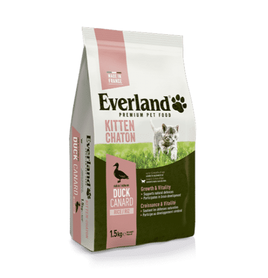 Everland chaton 1,5kg