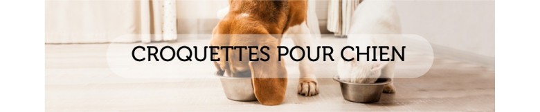 Croquettes chiens toute races