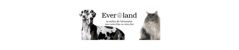 everland-chien